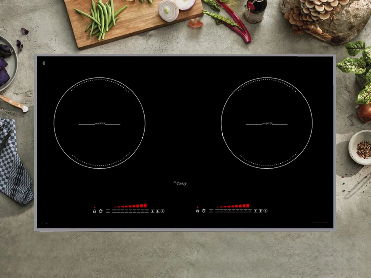 Bep-tu-2-vung-nau-Canzy-CZ-79D-4