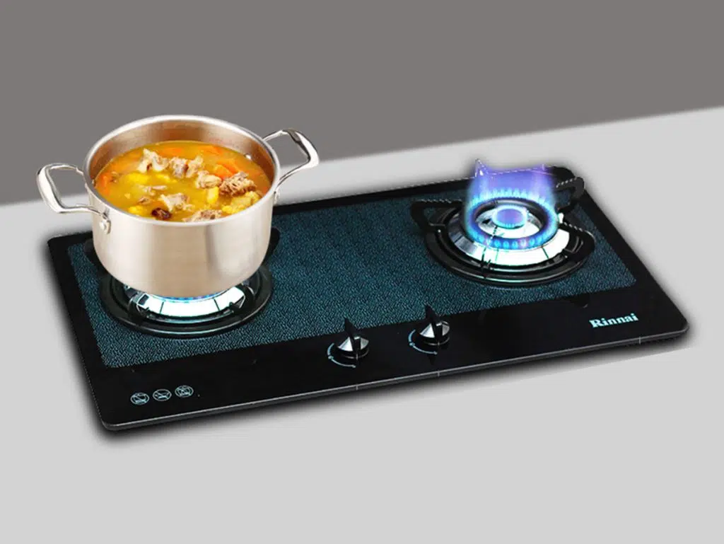 Bếp gas âm Rinnai RVB-2BG(D)N