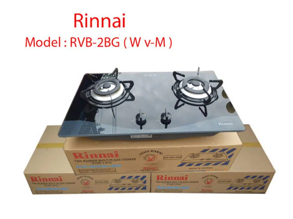 Bếp gas âm Rinnai RVB-2BG(Wv-M)N