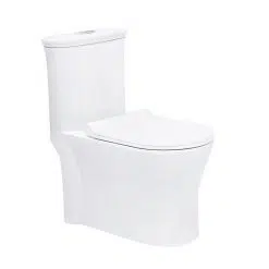 Bồn cầu Basic BS-107