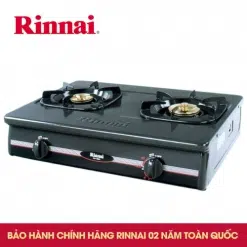 Bếp gas dương Rinnai RV-860GSB(M)