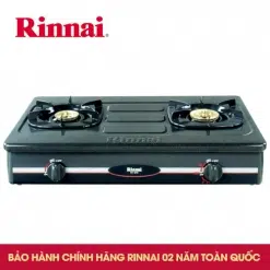 Bếp gas dương Rinnai RV-870GSB(M)