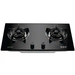 Bếp gas âm Faster FS 219S