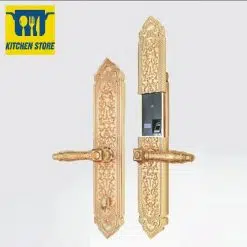 Khoá vân tay Kassler KL-989 F