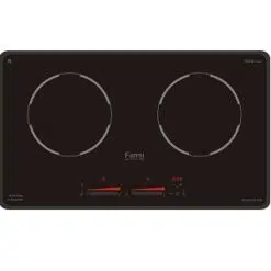 Bếp từ Fermi NG 009 Platinum