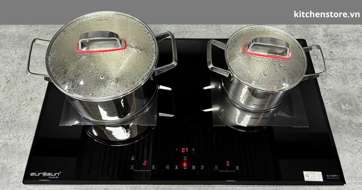 Bếp từ đôi Eurosun Eu-T256Pro