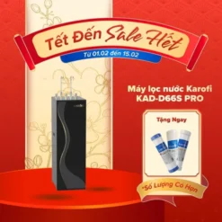Máy lọc nước nóng lạnh Karofi KAD-D66S PRO