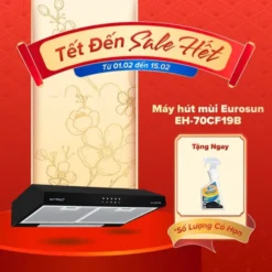 Máy hút mùi Eurosun EH-70CF19B