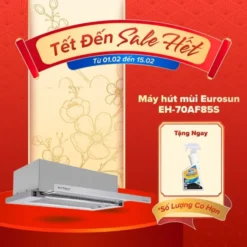 Máy hút mùi âm tủ Eurosun EH-70AF85S